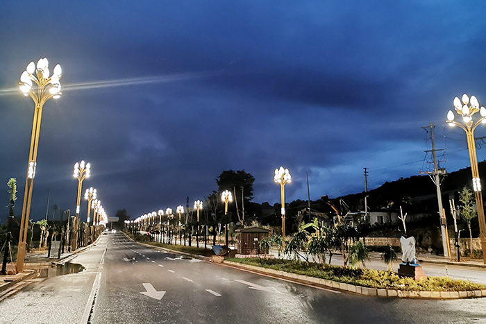 Arany nayun vitalitás kikötő